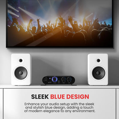 Kaasaskantav Bluetoothi helivõimendi RCA- ja AUX-sisendiga – PFA330BTEU
